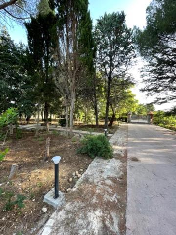 b&b a pochi passi dal mare Giovinazzo Esterno foto